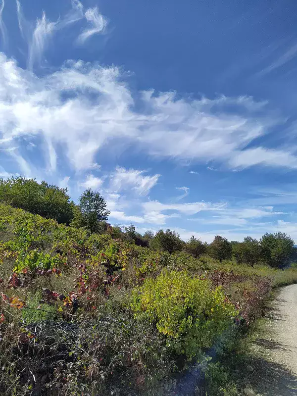 Sur les chemins de Compostelle
